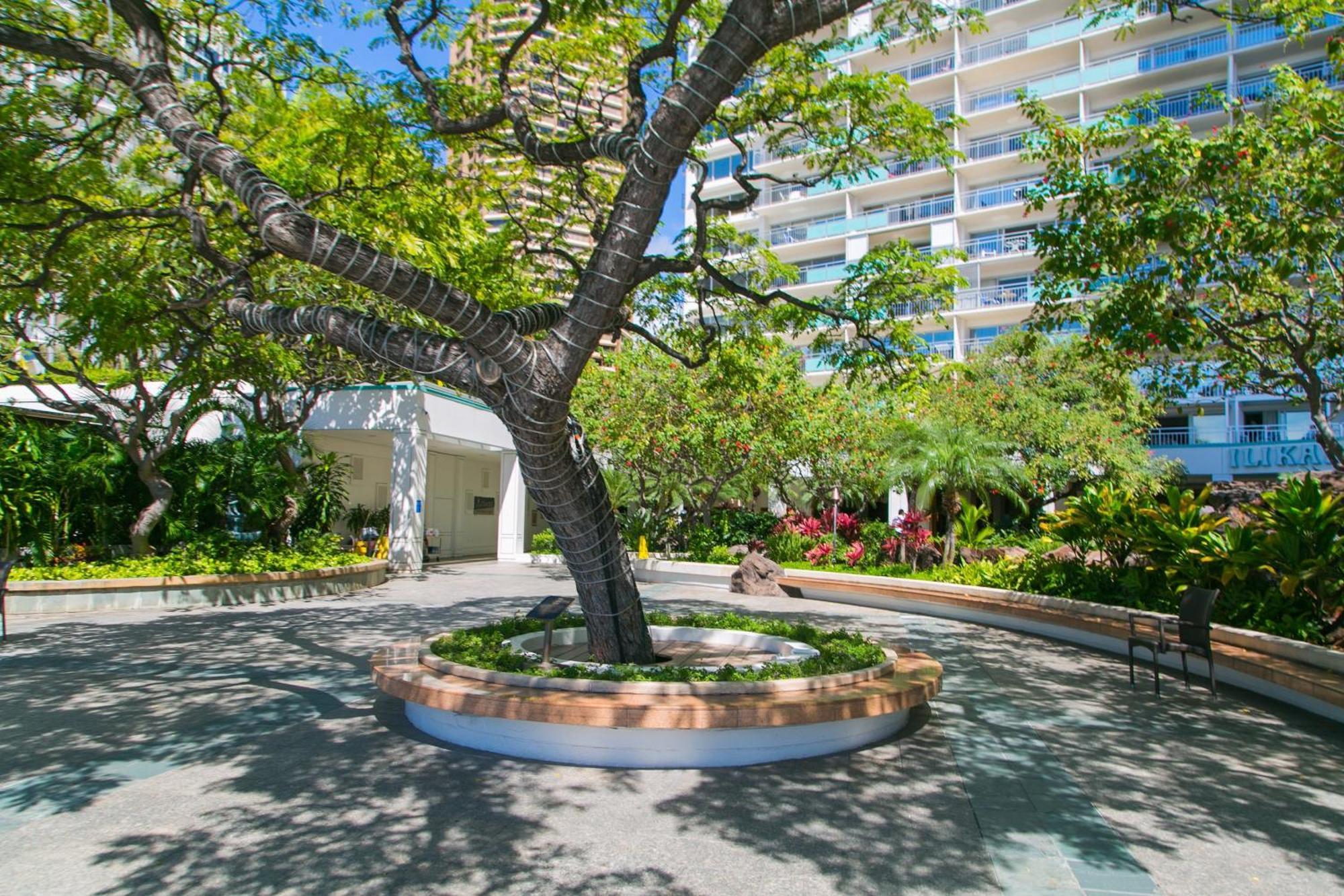 Ilikai Tower 1812 Lagoon View 1Br Гонолулу Экстерьер фото